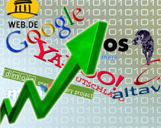 Search engine optimization expert